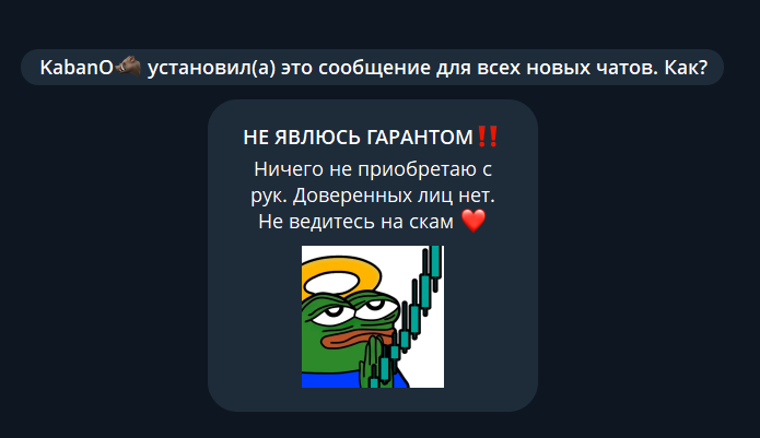 Закреплённое сообщение в личных чатах о том, что BOROV TUT не является гарантом